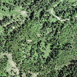 Satellite imagery of Hirzenstock, CH