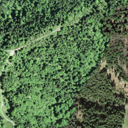 Satellite imagery of Hirzenstock, CH