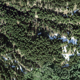 Satellite imagery of Chopf, CH