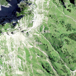 Satellite imagery of Rautispitz, CH