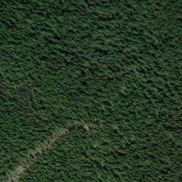 Satellite imagery of American Gold Mine, US
