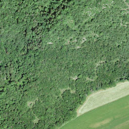 Satellite imagery of RC1854.LANDERON.LIGNIERES, CH
