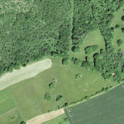 Satellite imagery of RC1854.LANDERON.LIGNIERES, CH