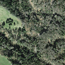 Satellite imagery of Mülimas Egg, CH