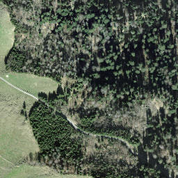 Satellite imagery of Schwändistock, CH