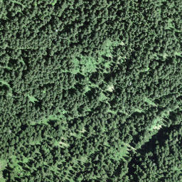 Satellite imagery of Banegg, CH