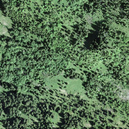 Satellite imagery of Näbekenfirst, CH