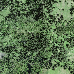 Satellite imagery of Horn, CH