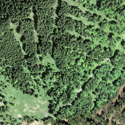 Satellite imagery of Hirzenstock, CH