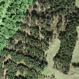 Satellite imagery of Hirzenstock, CH