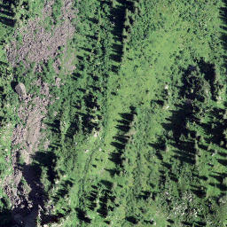 Satellite imagery of Chalttalchopf, CH