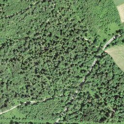 Satellite imagery of RC1854.CRESSIER.LANDERON, CH