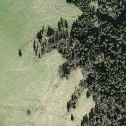 Satellite imagery of Schwändistock, CH
