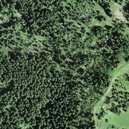 Satellite imagery of Näbekenfirst, CH