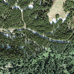 Satellite imagery of Butziflue, CH