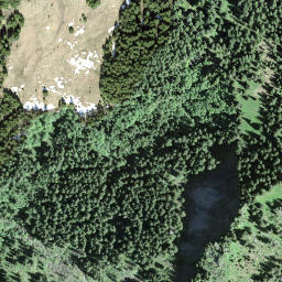Satellite imagery of Gschwändstock, CH