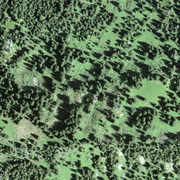 Satellite imagery of Gschwändstock, CH