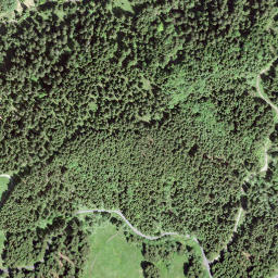 Satellite imagery of Bräntenegg, CH