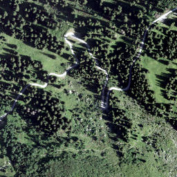 Satellite imagery of Schijen, CH