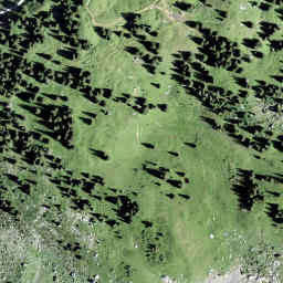 Satellite imagery of Schijen, CH