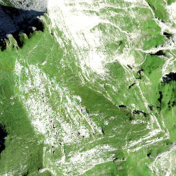 Satellite imagery of Höchnase, CH