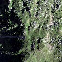 Satellite imagery of Rainissalts, CH