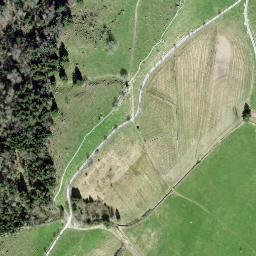 Satellite imagery of Ruedisegg, CH