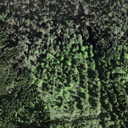 Satellite imagery of Kulm, CH
