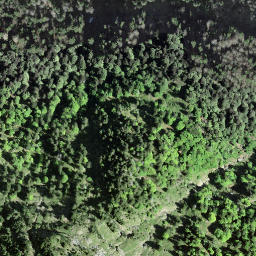 Satellite imagery of Kulm, CH