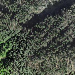 Satellite imagery of Buchzingelflue, CH