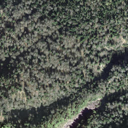 Satellite imagery of Buchzingelflue, CH