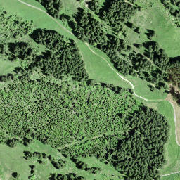 Satellite imagery of Näbekenfirst, CH