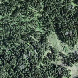 Satellite imagery of Butziflue, CH