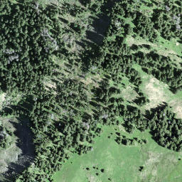 Satellite imagery of Gschwändstock, CH