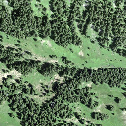 Satellite imagery of Gschwändstock, CH