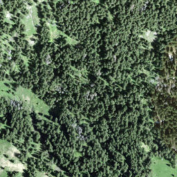 Satellite imagery of Gschwändstock, CH