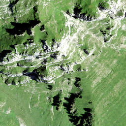Satellite imagery of Höchnase, CH