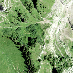 Satellite imagery of Höchnase, CH