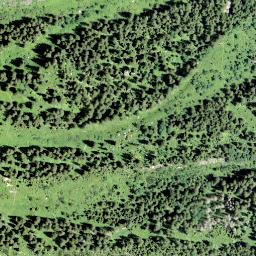 Satellite imagery of Chalttalchopf, CH