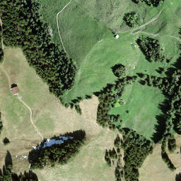 Satellite imagery of Hochstuckli, CH