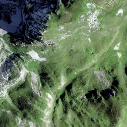 Satellite imagery of Schijen, CH