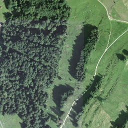 Satellite imagery of Ruedisegg, CH