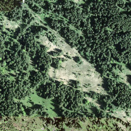 Satellite imagery of Cholhüttliegg, CH