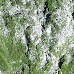 Satellite imagery of Siwellen, CH