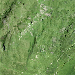 Satellite imagery of Gross Sächser, CH