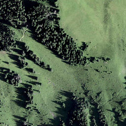 Satellite imagery of Guscha, CH