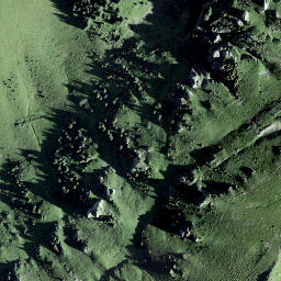 Satellite imagery of Guscha, CH