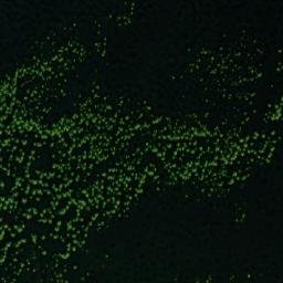 Satellite imagery of Girlitzspitze, AT