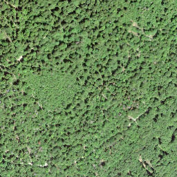 Satellite imagery of Borne des Trois Puissances, CH