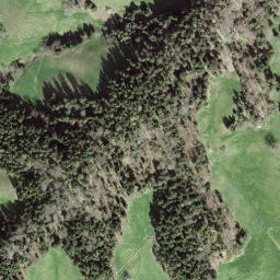 Satellite imagery of Hornbachegg, CH